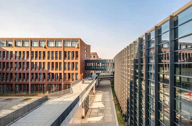 考公务员有优势的大学盘点